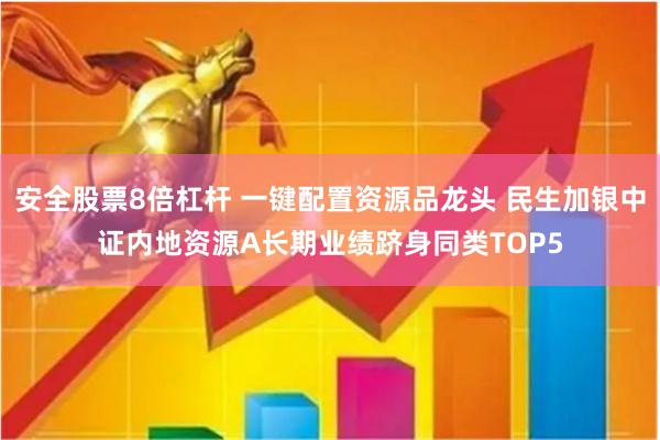 安全股票8倍杠杆 一键配置资源品龙头 民生加银中证内地资源A长期业绩跻身同类TOP5