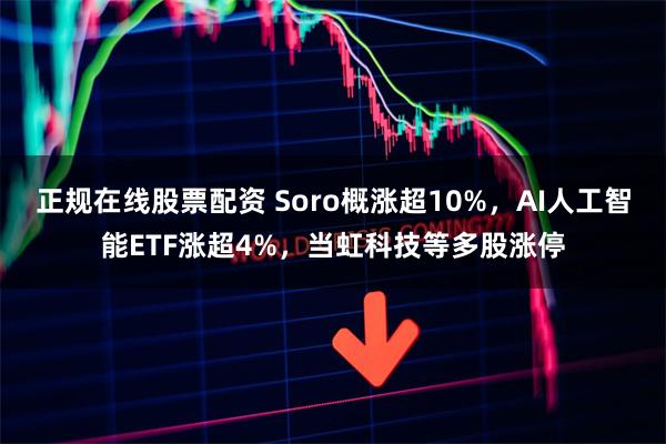 正规在线股票配资 Soro概涨超10%，AI人工智能ETF涨超4%，当虹科技等多股涨停