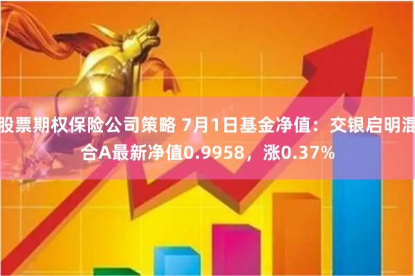 股票期权保险公司策略 7月1日基金净值：交银启明混合A最新净值0.9958，涨0.37%