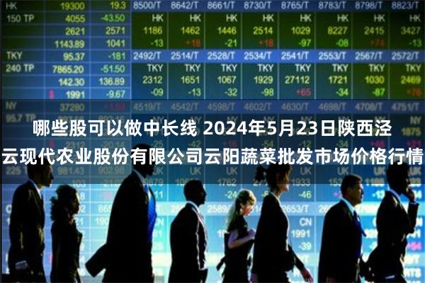 哪些股可以做中长线 2024年5月23日陕西泾云现代农业股份有限公司云阳蔬菜批发市场价格行情