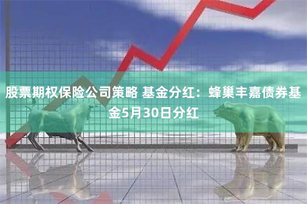 股票期权保险公司策略 基金分红：蜂巢丰嘉债券基金5月30日分红