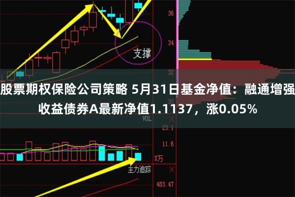 股票期权保险公司策略 5月31日基金净值：融通增强收益债券A最新净值1.1137，涨0.05%