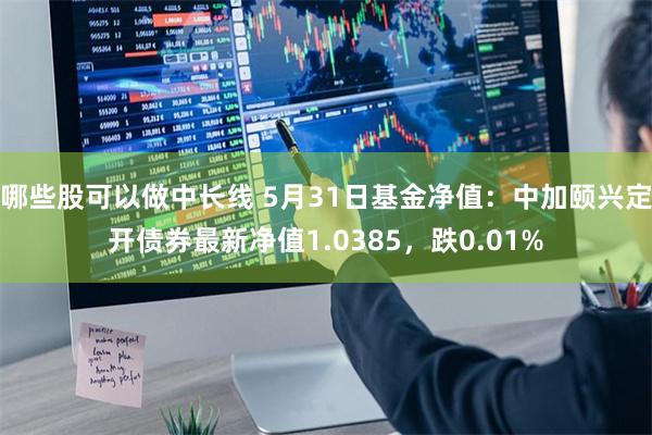 哪些股可以做中长线 5月31日基金净值：中加颐兴定开债券最新净值1.0385，跌0.01%