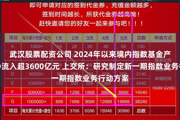 武汉股票配资公司 2024年以来境内指数基金产品累计净流入超3600亿元 上交所：研究制定新一期指数业务行动方案