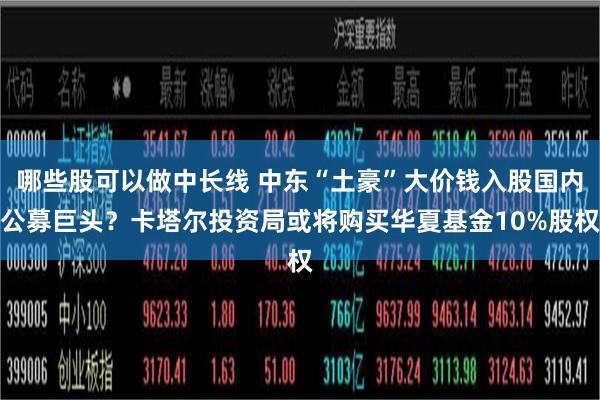 哪些股可以做中长线 中东“土豪”大价钱入股国内公募巨头？卡塔尔投资局或将购买华夏基金10%股权