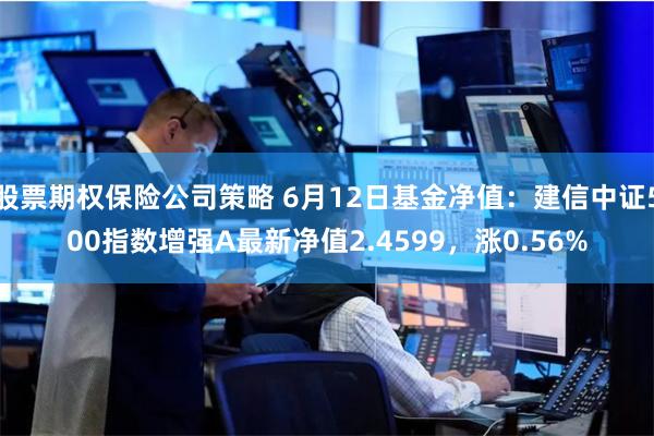 股票期权保险公司策略 6月12日基金净值：建信中证500指数增强A最新净值2.4599，涨0.56%