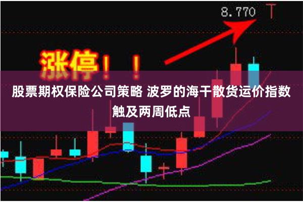 股票期权保险公司策略 波罗的海干散货运价指数触及两周低点