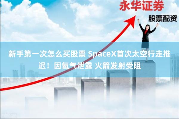 新手第一次怎么买股票 SpaceX首次太空行走推迟！因氦气泄露 火箭发射受阻