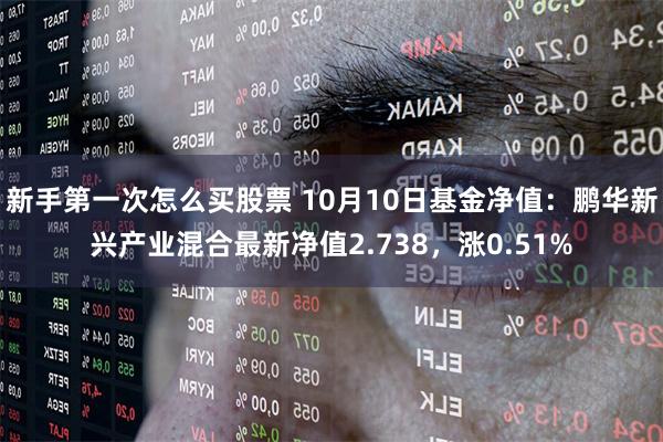 新手第一次怎么买股票 10月10日基金净值：鹏华新兴产业混合最新净值2.738，涨0.51%