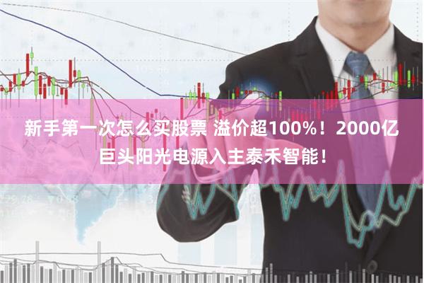 新手第一次怎么买股票 溢价超100%！2000亿巨头阳光电源入主泰禾智能！