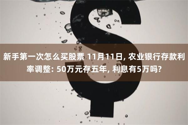 新手第一次怎么买股票 11月11日, 农业银行存款利率调整: 50万元存五年, 利息有5万吗?