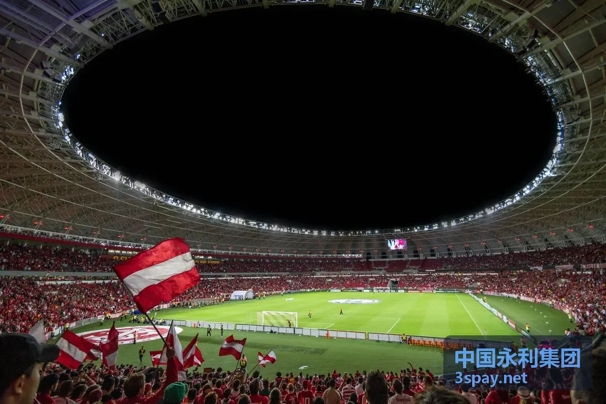 中国永利集团全球支付网络